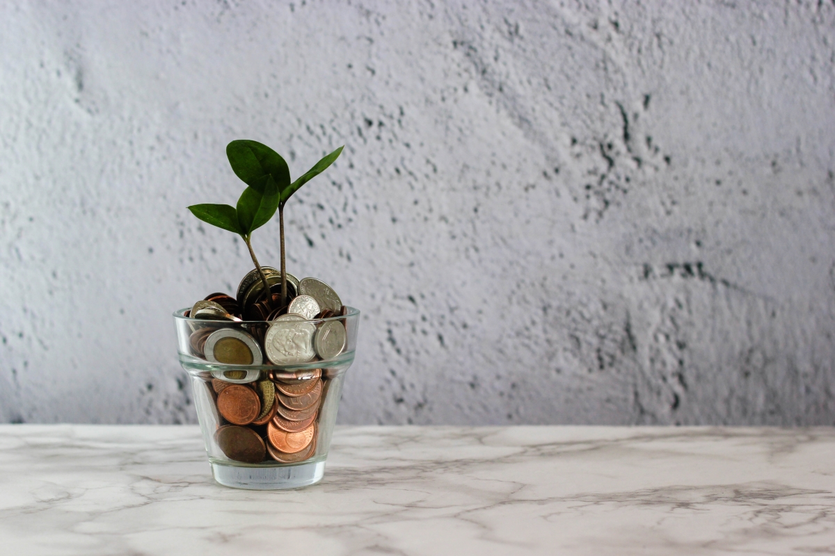 coin in glass cup growing a plant
