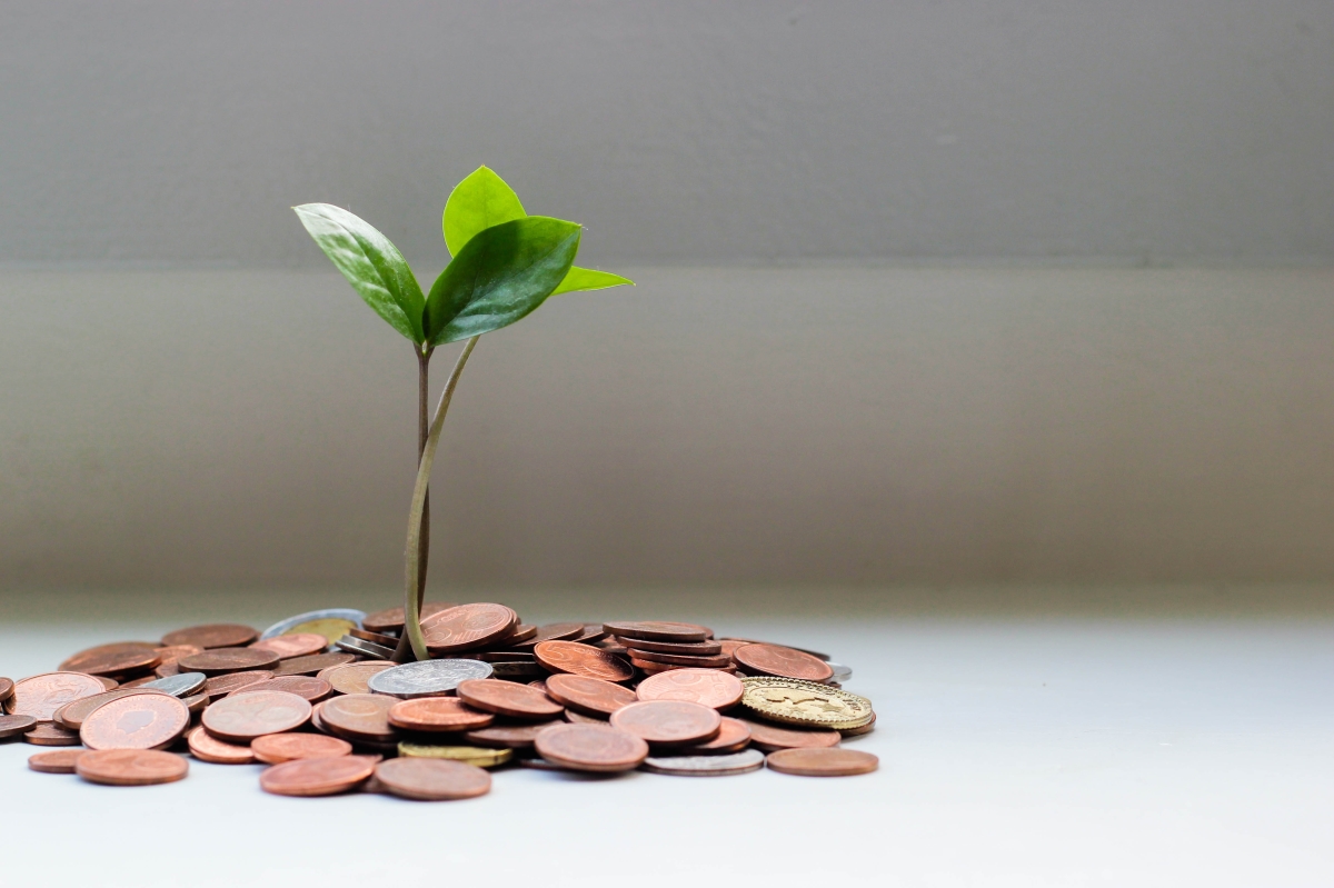 baby plant growing from pile of coins