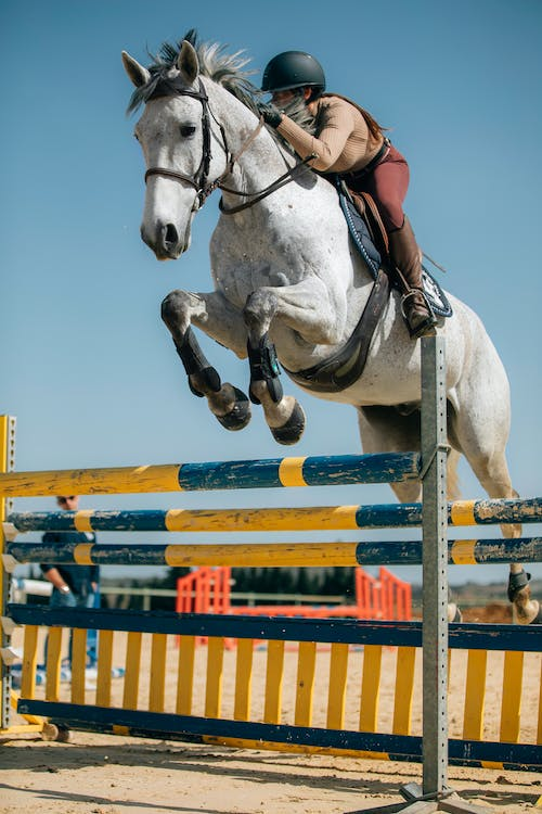 young girl jumping a horse in equestrian class